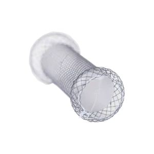 Anti-Reflux Esophageal Stents