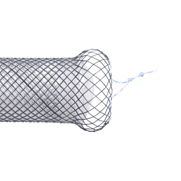 anti reflux esophageal stents 2 580x580