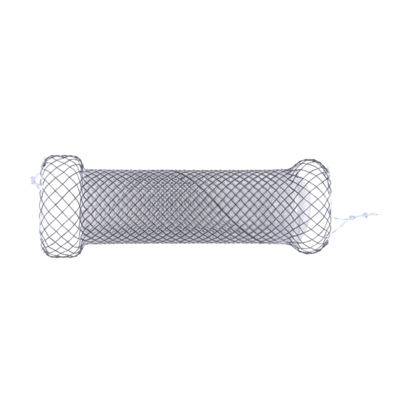 anti reflux esophageal stents 3 580x580