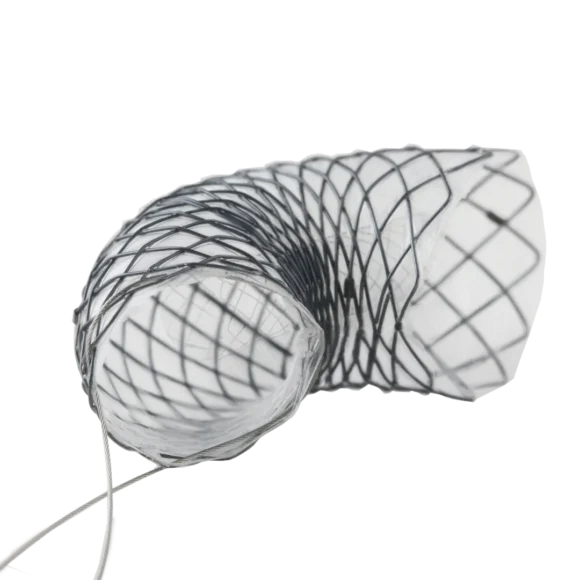 biliary stents 1 580x580