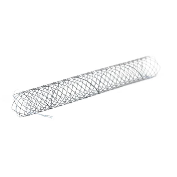 biliary stents 580x580