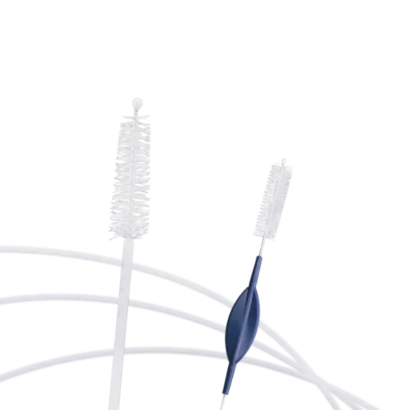 cleaning brushes 2 580x580