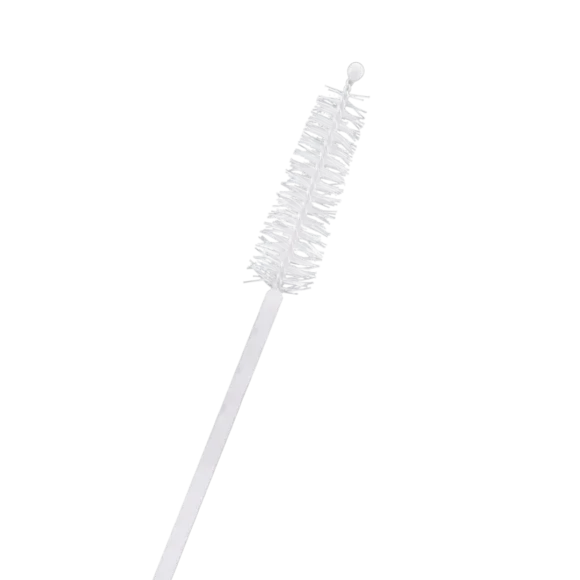 cleaning brushes 580x580