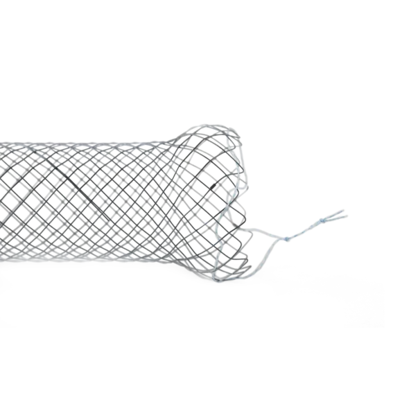 colonic and rectal stents 1 580x580