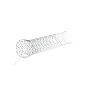 Colonic and Rectal Stents