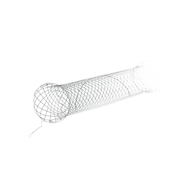 colonic and rectal stents 580x580