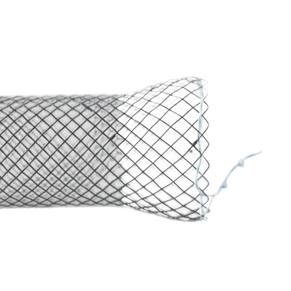 covered esophageal stents 1 1 580x580