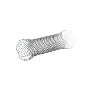 Esophageal Stents