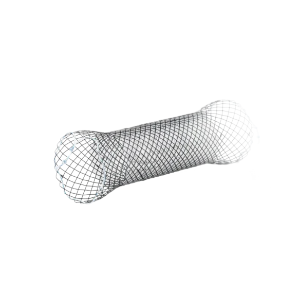 covered esophageal stents 1 580x580