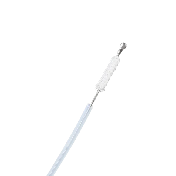 cytology brushes 580x580