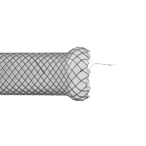 Duodenal Stentler