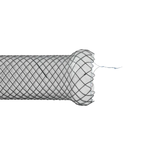 duodenal stents 1 580x580