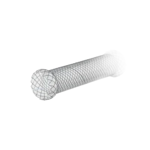 Duodenal Stents