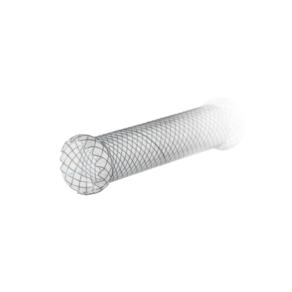 duodenal stents 580x580