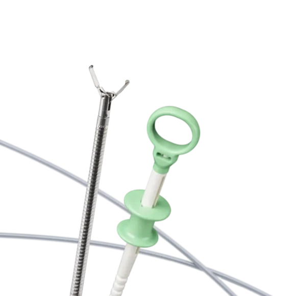 eco clip 4 580x580