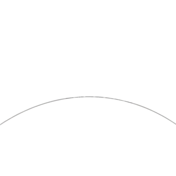 marked spring tip guidewire 2_1610083876 580x580
