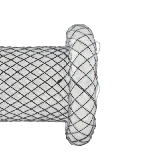 pancreatic pseudocyst stents 1 580x580