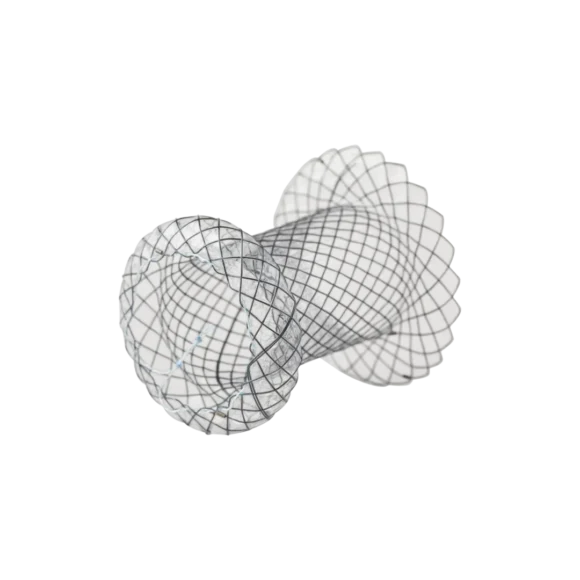 pancreatic pseudocyst stents 580x580