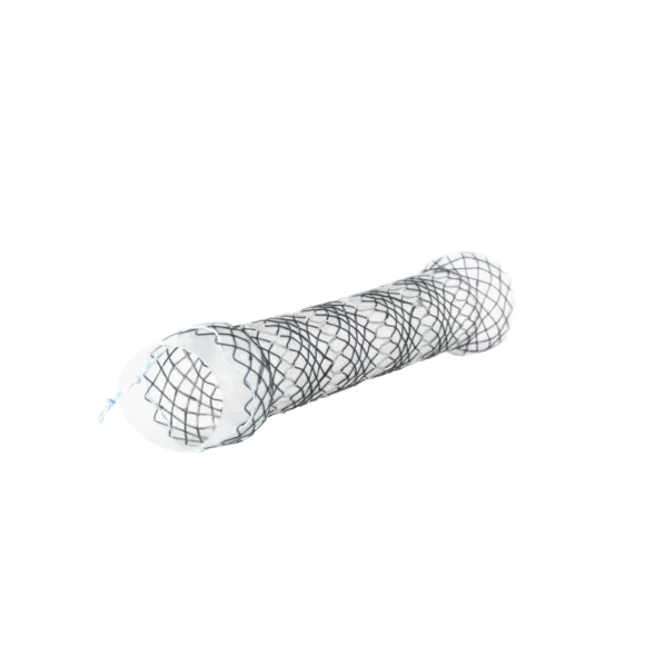 segmented stents 1 580x580
