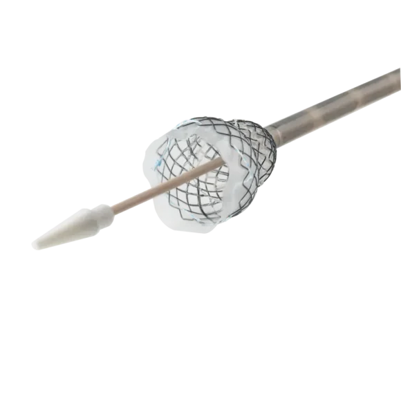 segmented stents 2 580x580