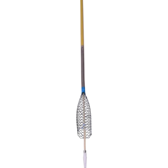 show biliary stents 1 580x580