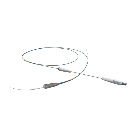 show biliary stents 4 580x580