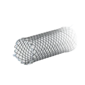 Tracheal/Bronchial Stents