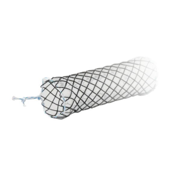 tracheal bronchial stents 1_1603358695 580x580